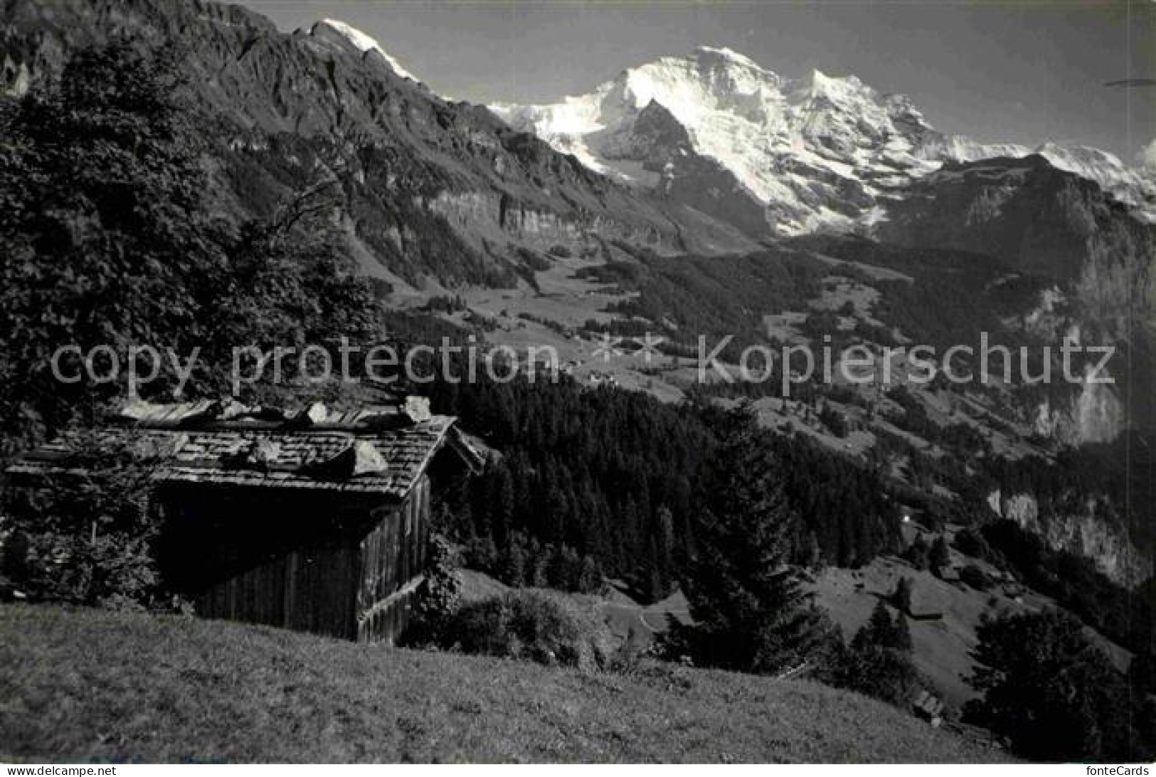 12647612 Wengen BE Mit Jungfrau Berner Alpen Wengen - Other & Unclassified