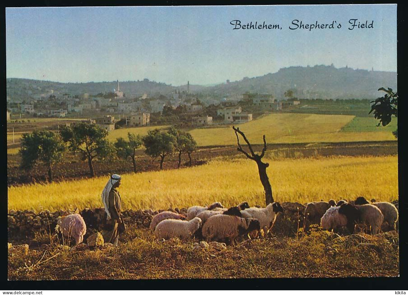 CPSM / CPM 10.5 X 15  Israël (136) BETHLEHEM Vue Générale De Bethléem Du Champ Des Bergers Moutons Bédouin - Israel