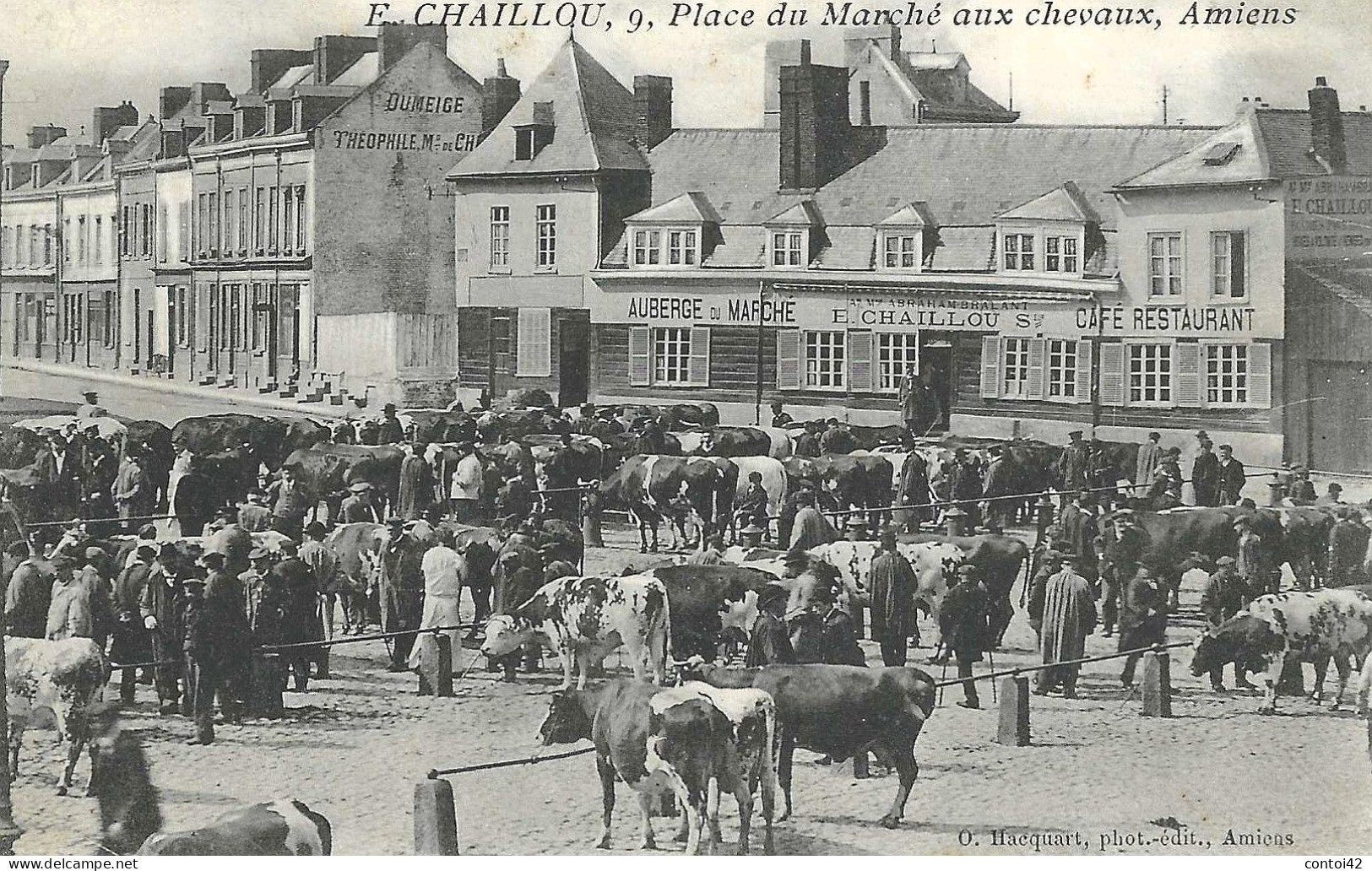 80 AMIENS PLACE DU MARCHE AUX CHEVAUX METIER AGRICULTURE VACHES ANIMATION SOMME - Amiens