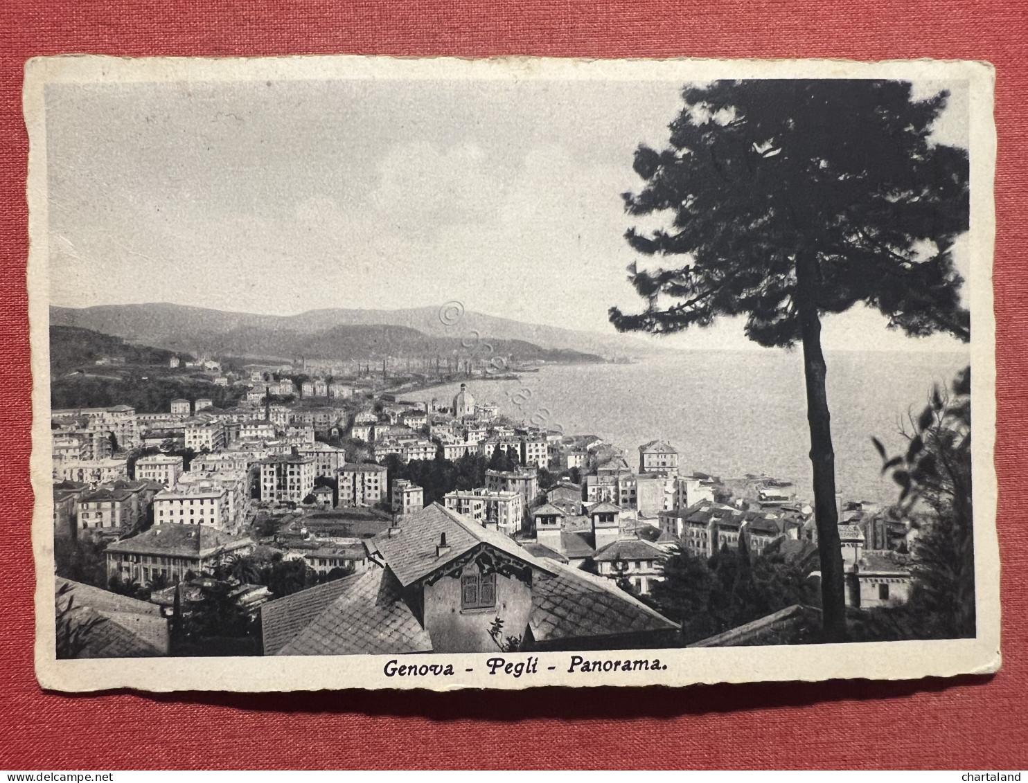 Cartolina - Genova - Pegli - Panorama - 1934 - Genova