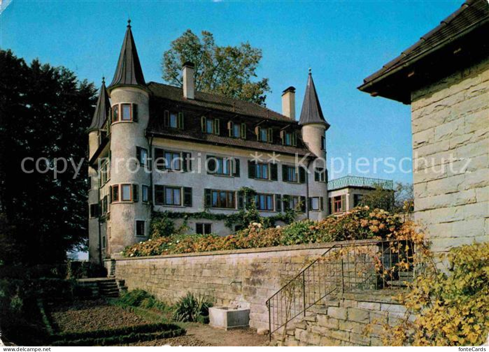 12646164 Staad Rorschach Schloss Risegg  - Andere & Zonder Classificatie