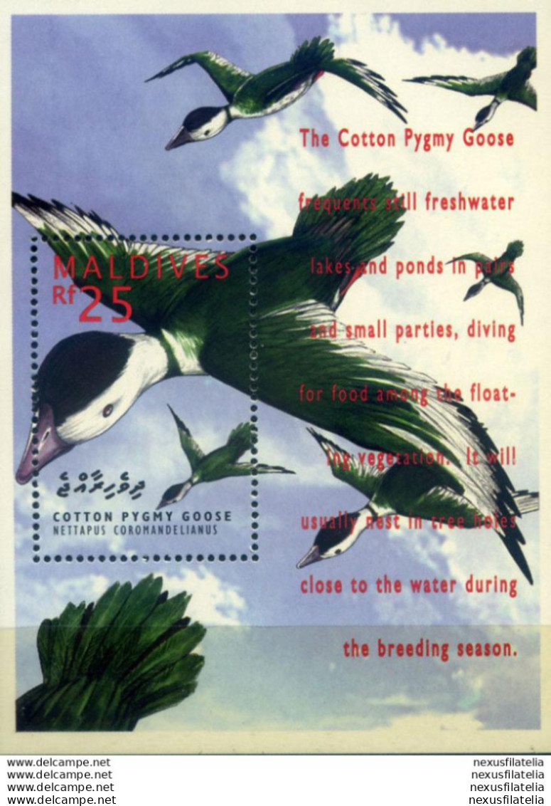 Fauna. Anatre 1995. - Maldives (1965-...)
