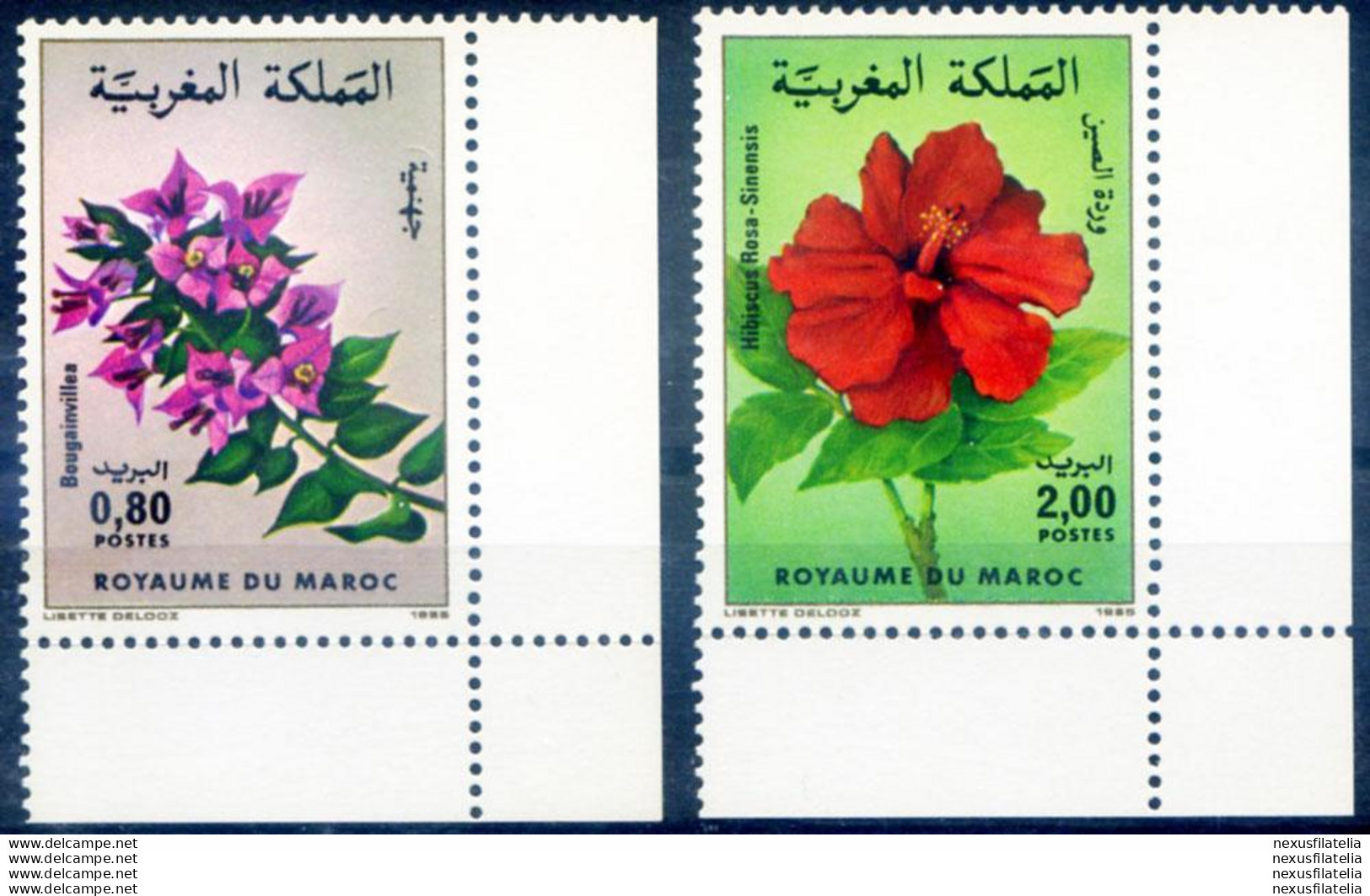 Flora. Fiori 1985. - Morocco (1956-...)