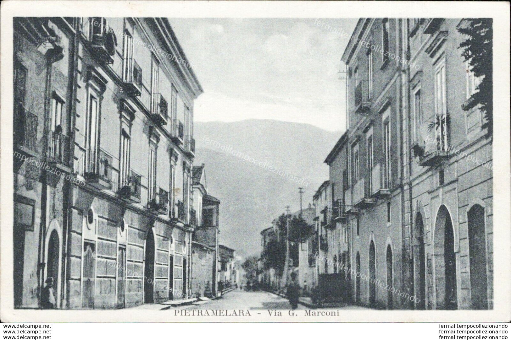 Ah556 Cartolina Pietramelara Via G.marconi Provincia Di Caserta - Caserta