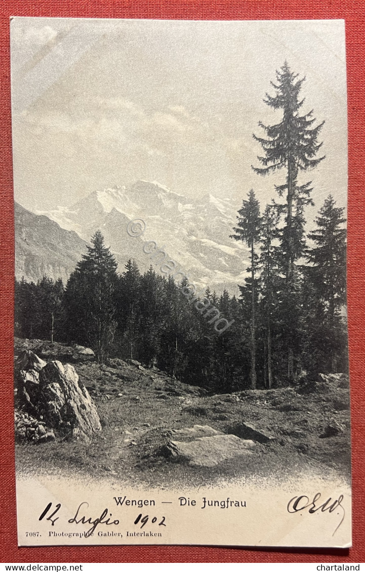 Cartolina - Switzerland - Wengen - Die Jungfrau - 1902 - Ohne Zuordnung