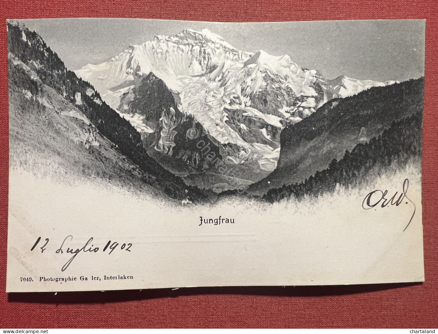 Cartolina - Switzerland - Jungfrau - 1902 - Ohne Zuordnung