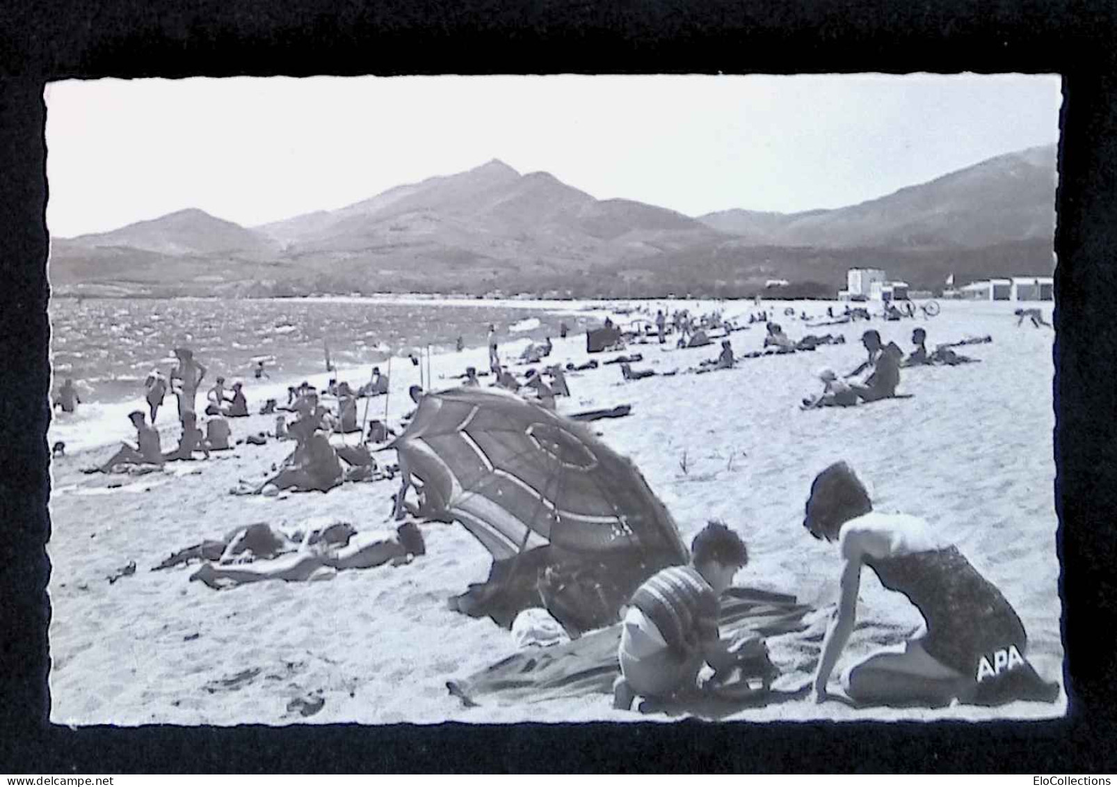 Cp, 66, Argeles Sur Mer, La Plage Et Les Albères, Vierge, Ed. Apa-Poux - Argeles Sur Mer