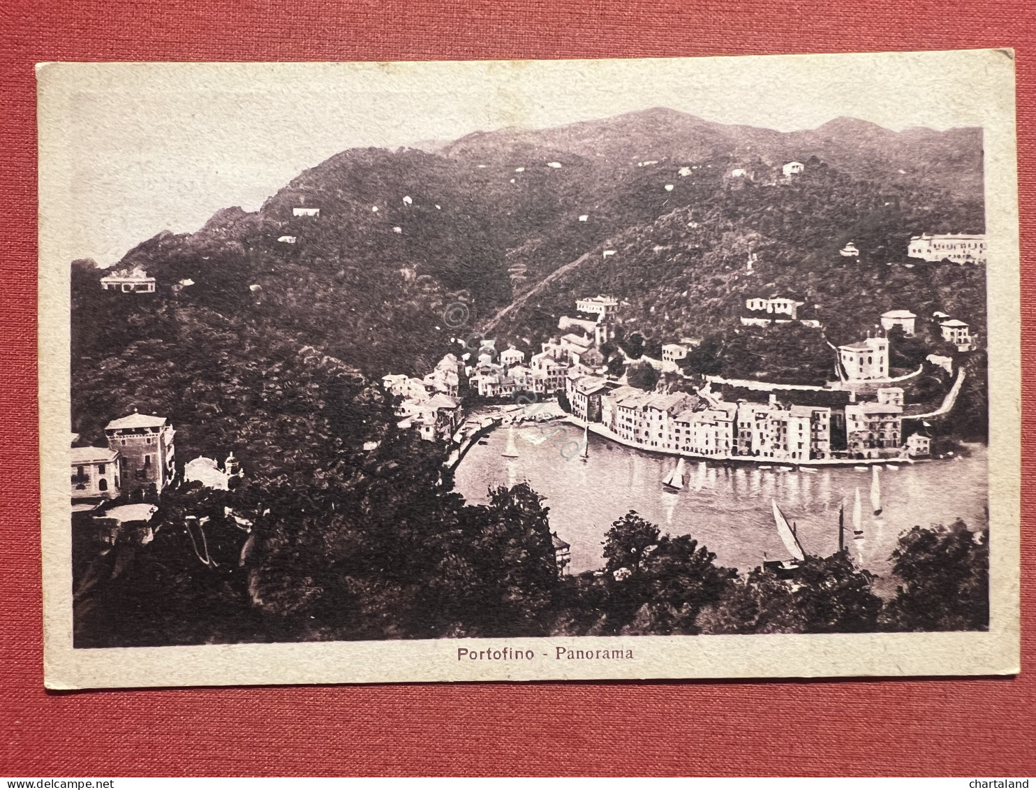 Cartolina - Portofino ( Genova ) - Panorama - 1924 - Genova