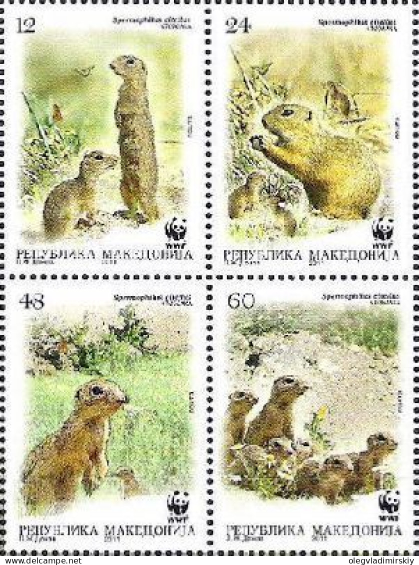 Macedonia 2011 WWF European Ground Squirrel Spermophilus Citellus Set Of 4 Stamps In Block 2x2 MNH - Nordmazedonien