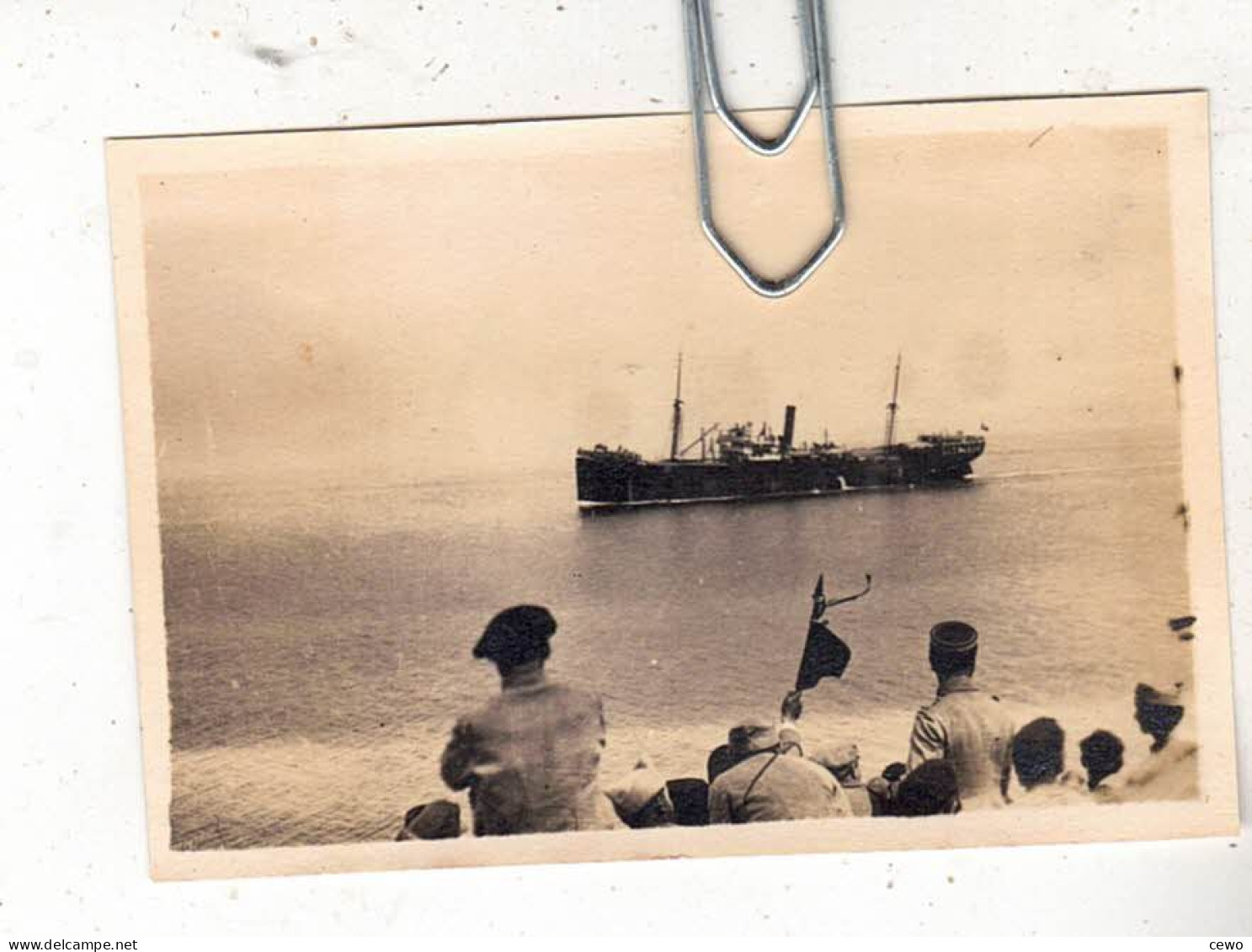 PHOTO NAVIRE BATEAUX PAQUEBOT CARGO SS ARCTURUS 1923 - Barcos