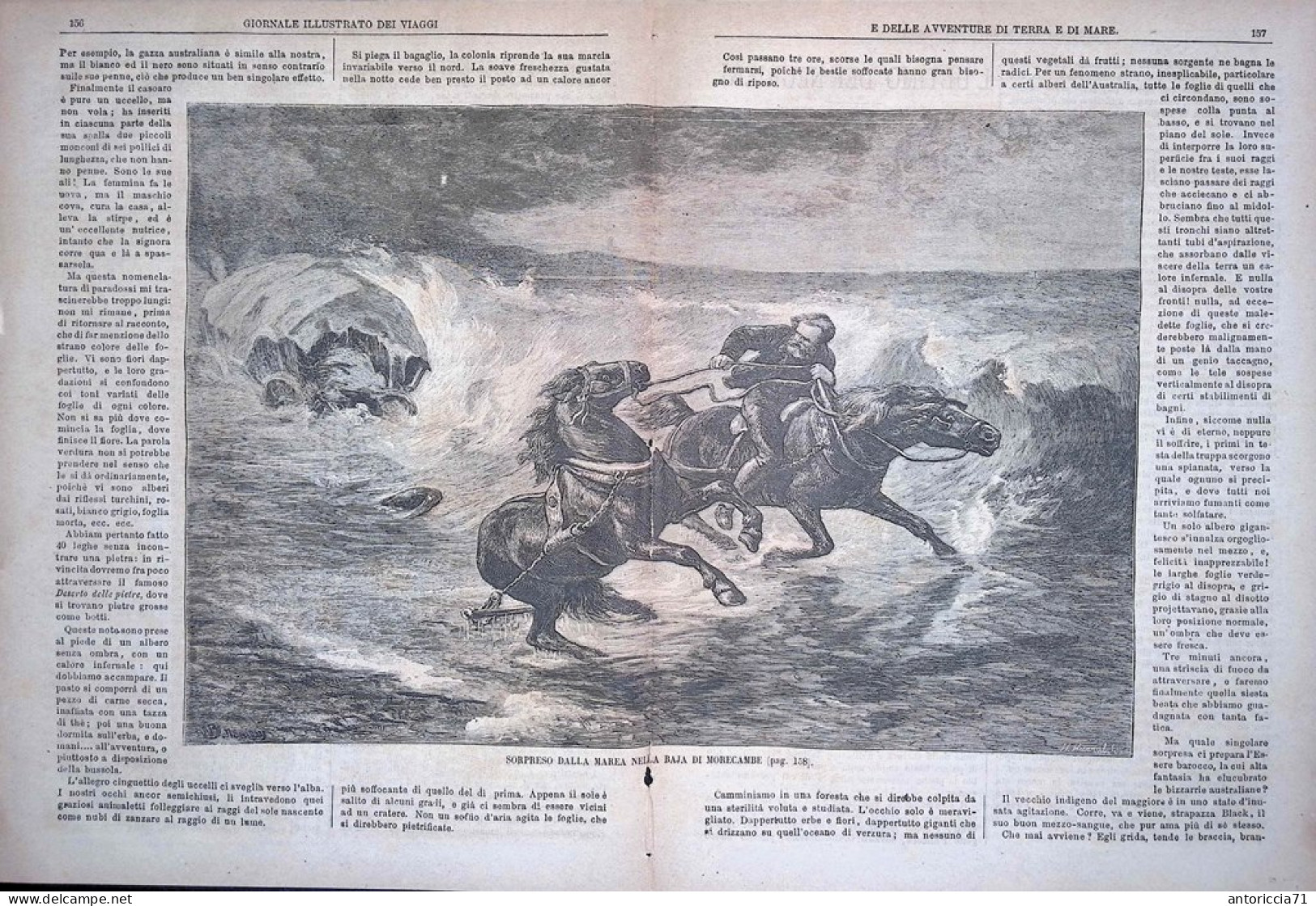 Giornale Illustrato Dei Viaggi 15 Gennaio 1880 Pescatori Balene Traforo Hudson - Vor 1900