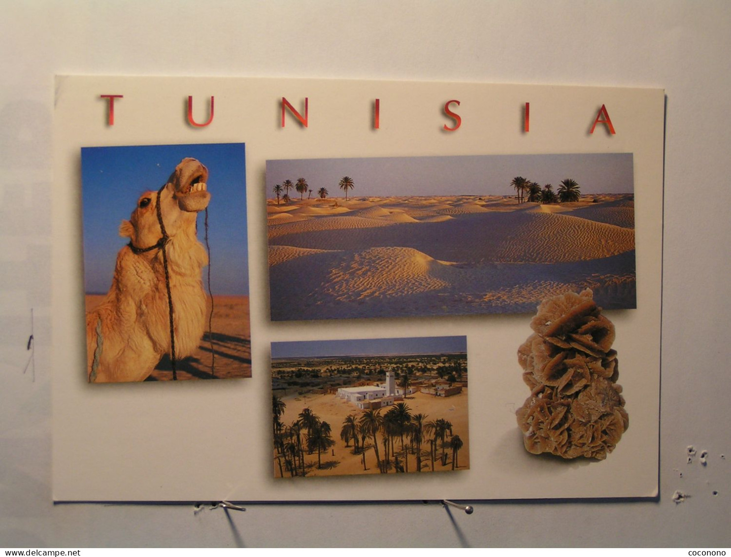 Tunisie - Le Grand Sud - Vues Diverses - Túnez