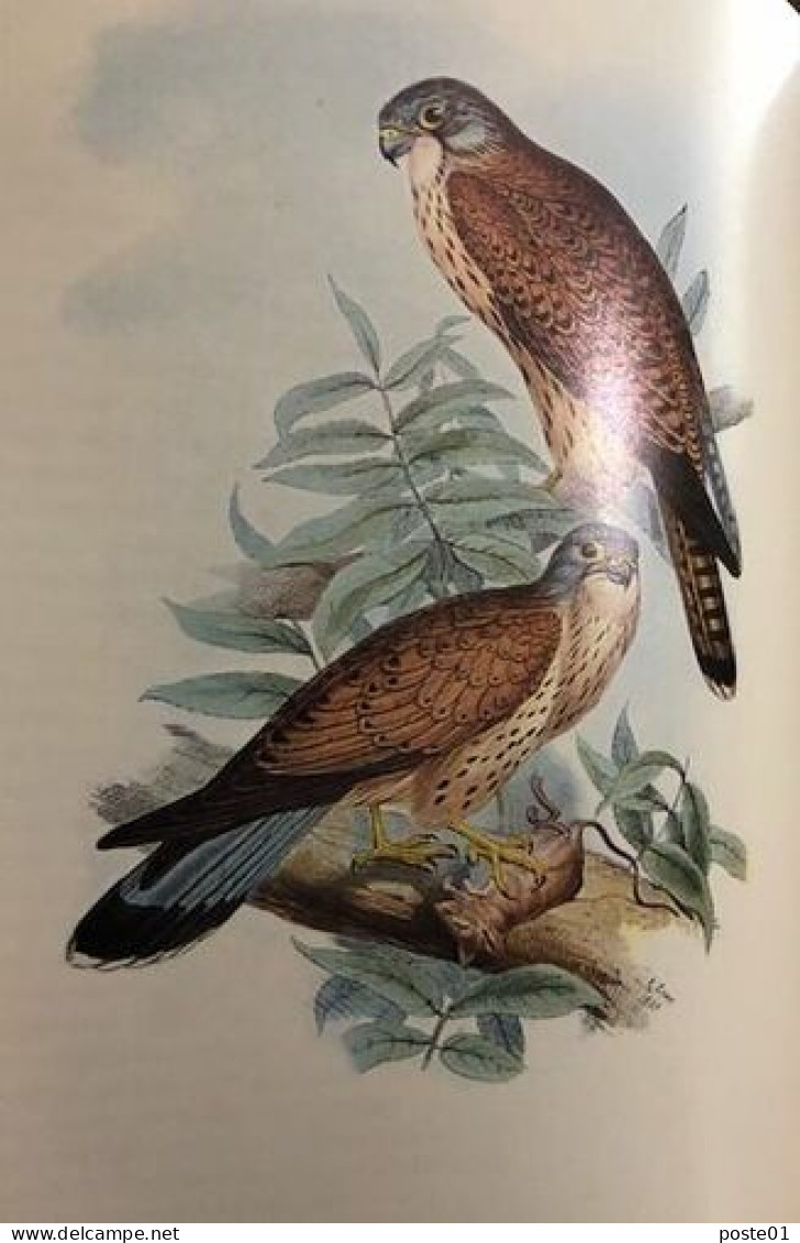Les Oiseaux D'europe / 2 Tomes / Reproductions En Couleurs De John Gould's - Natura