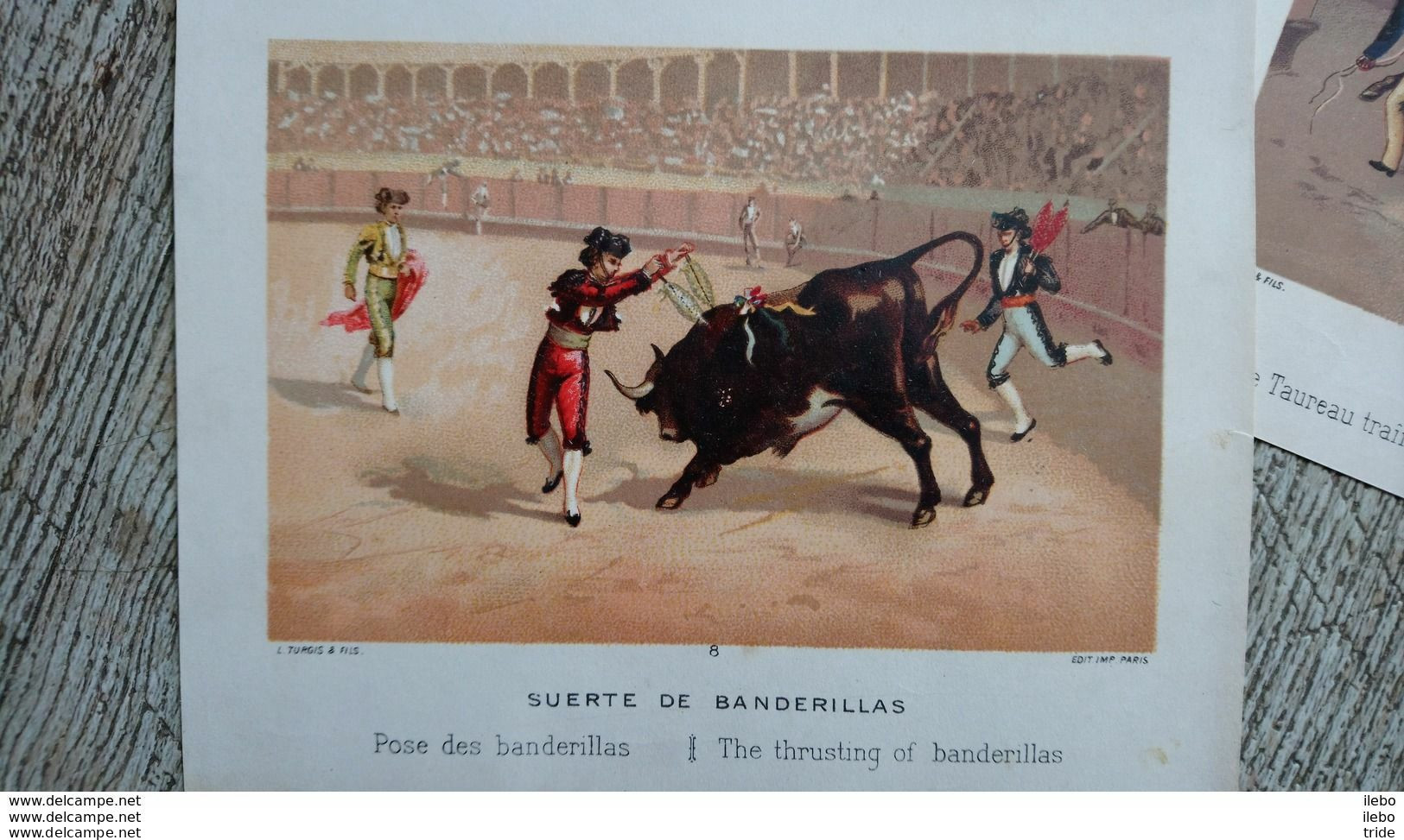 Série 12 Chromos Images Sur La Corrida Tauromachie Turgis Et Fils Corrida De Toros Rare Complet - Other & Unclassified