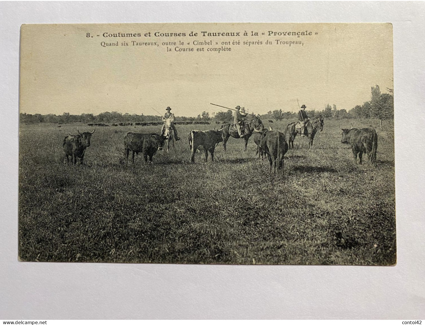 N°8  COUTUMES ET COURSES DE TAUREAUX A LA PROVENCALE TAUREAUX GARDIANS MANADE CAMARGUE PROVENCE - Languedoc-Roussillon