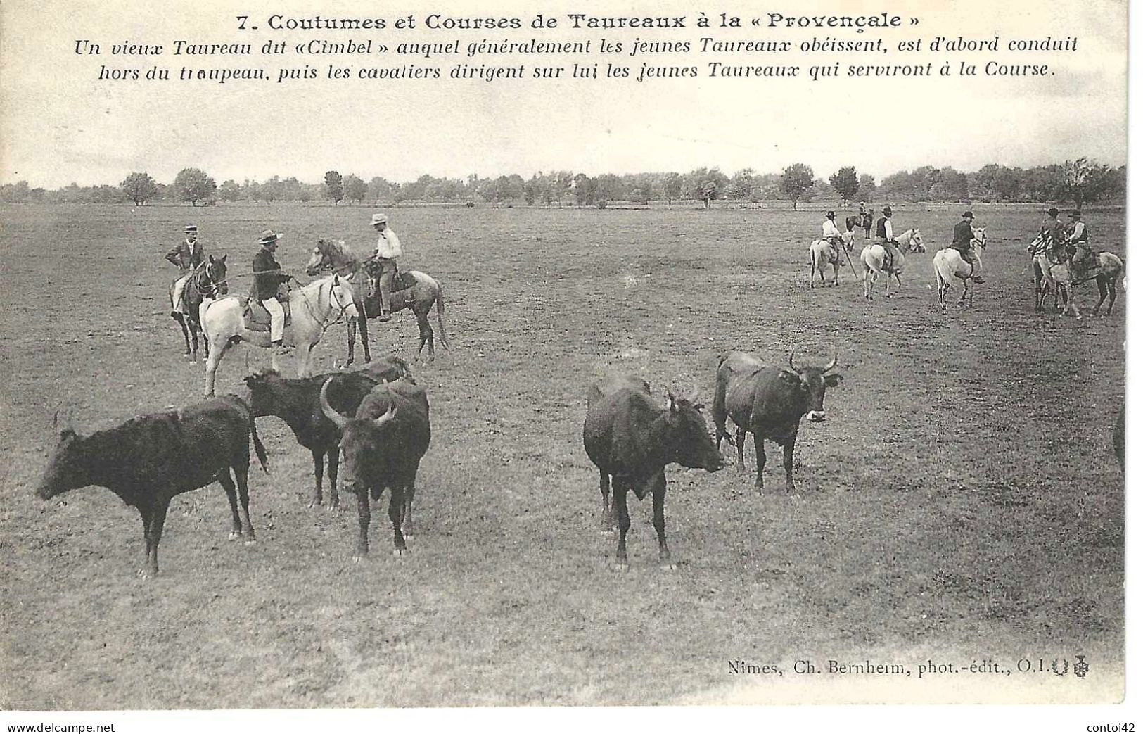 N°7  COUTUMES ET COURSES DE TAUREAUX A LA PROVENCALE TAUREAUX GARDIANS MANADE CAMARGUE PROVENCE - Languedoc-Roussillon