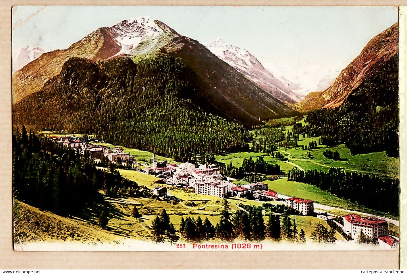 30129 / ⭐ Suisse Grisons - PONTRESINA 1909 à Melle RABEL Hotel Aubépine Ballaigues Jura-PHOTOGLOB Zürich N°253 - Sonstige & Ohne Zuordnung