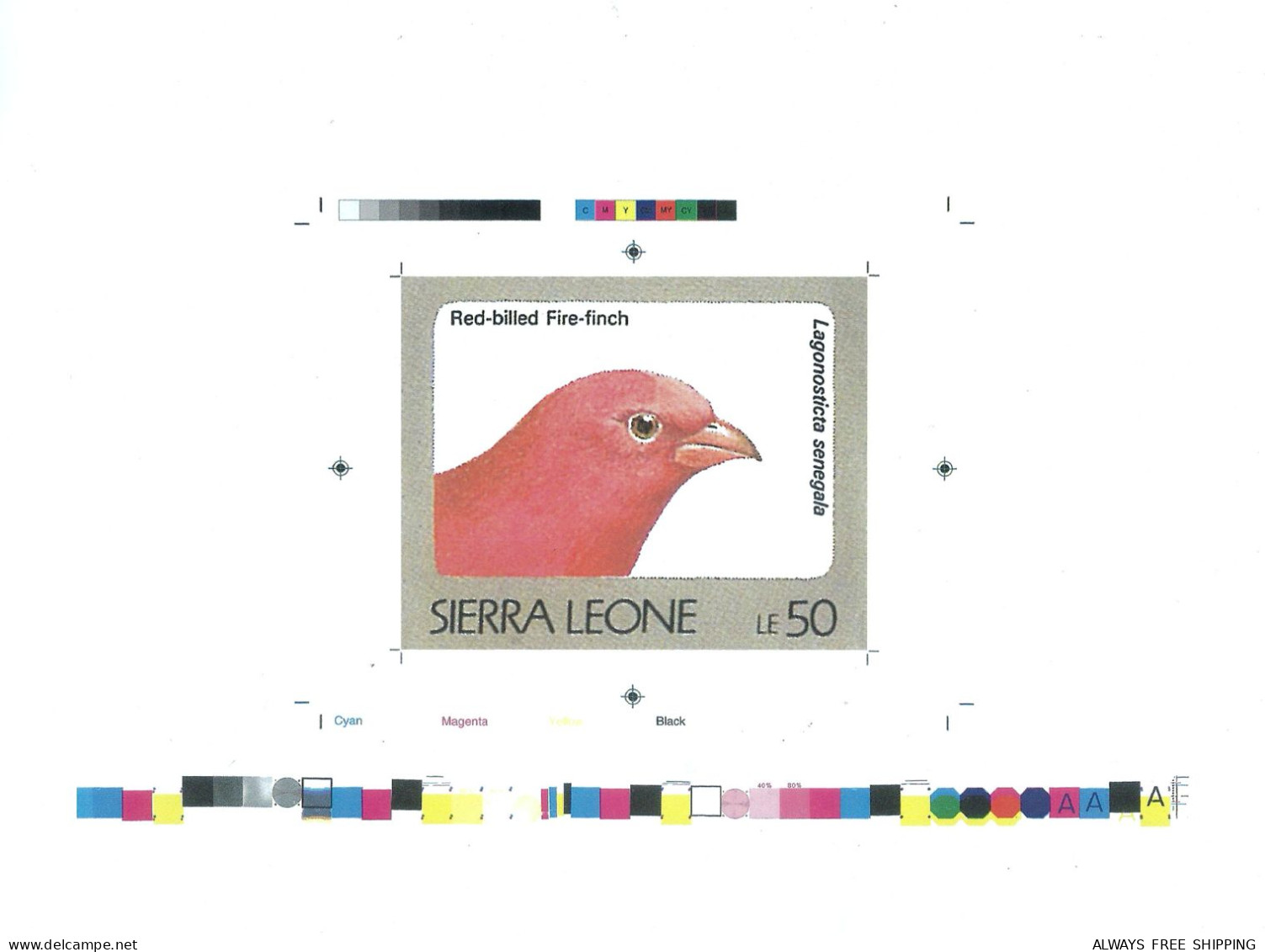 1992 Sierra Leone Animals Birds Raptors Red Bellied Fire Finch Lagonosticta Senegala - Rare Imperf Proof Essay Trial - Sonstige & Ohne Zuordnung