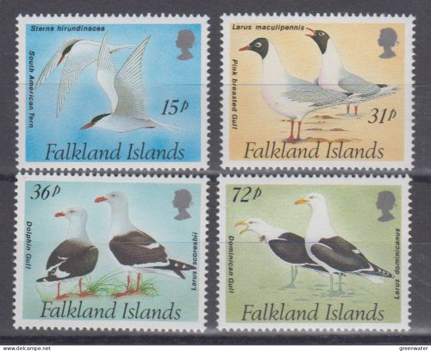 Falkland Islands 1993 Gulls And Terns 4v ** Mnh (59685) - Islas Malvinas