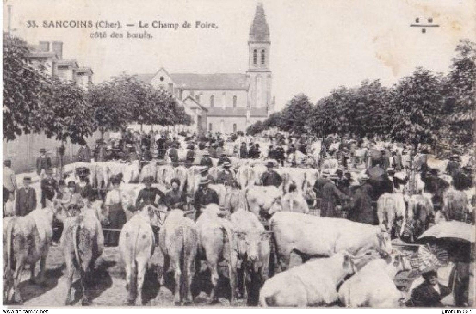 BERRY SANCOINS Le Champ De Foire , Coté Des Bœufs - Sancoins