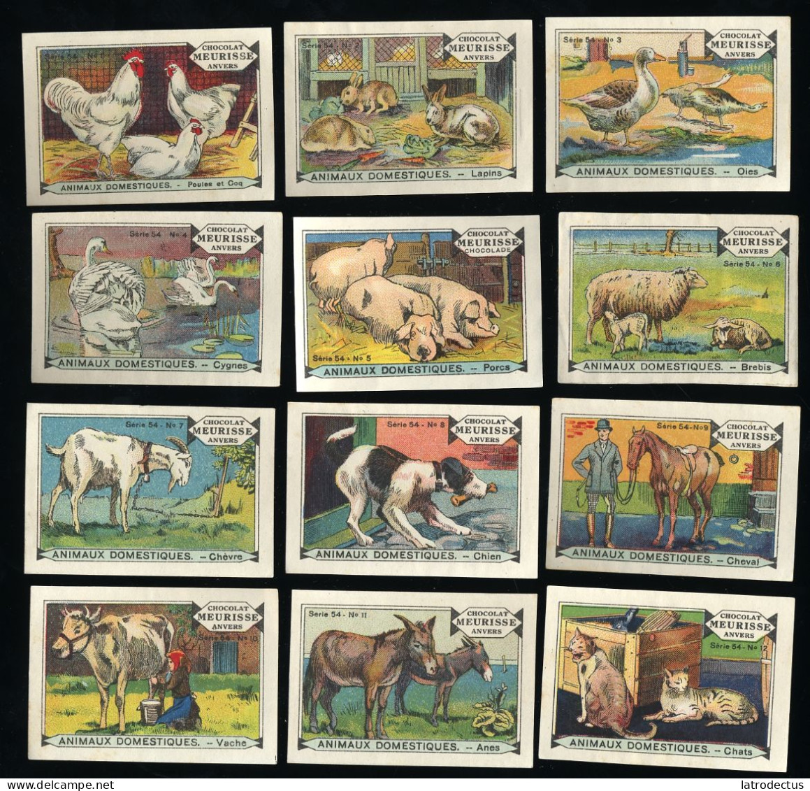 Meurisse - Ca 1930 - 54 - Animaux Domestiques, Domesticated Animals - Full Serie - Sonstige & Ohne Zuordnung