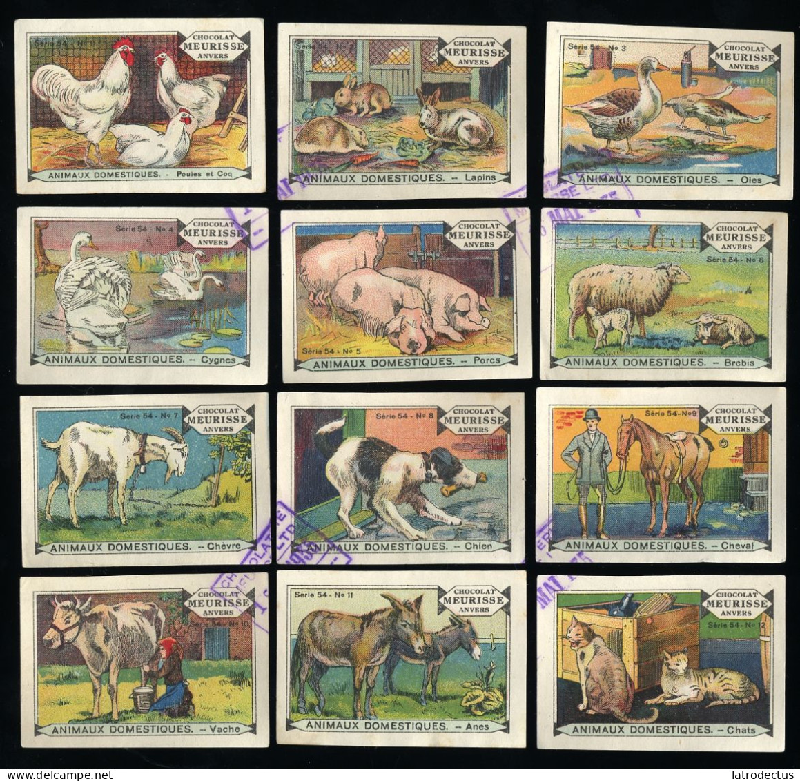 Meurisse - Ca 1930 - 54 - Animaux Domestiques, Domesticated Animals - Full Serie - Sonstige & Ohne Zuordnung