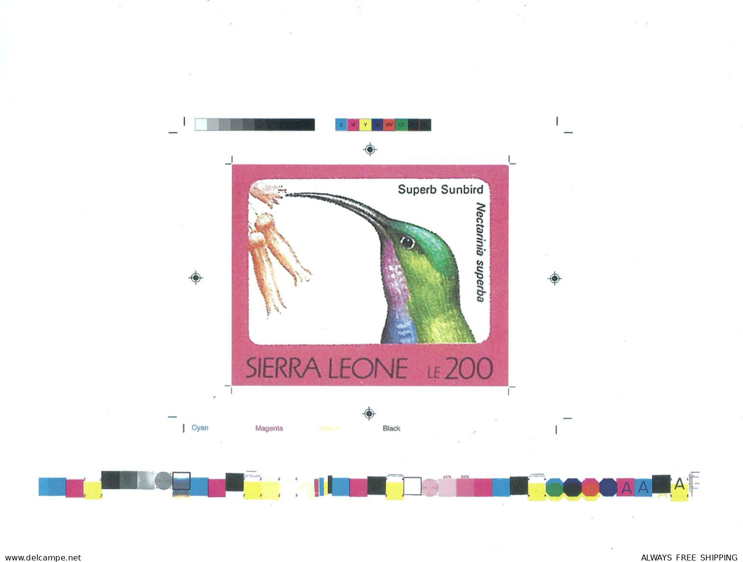 1992 Sierra Leone Animals Birds Raptors Superb Sunbird Nectarinia Superba - Rare Imperf Proof Essay Trial - Otros & Sin Clasificación