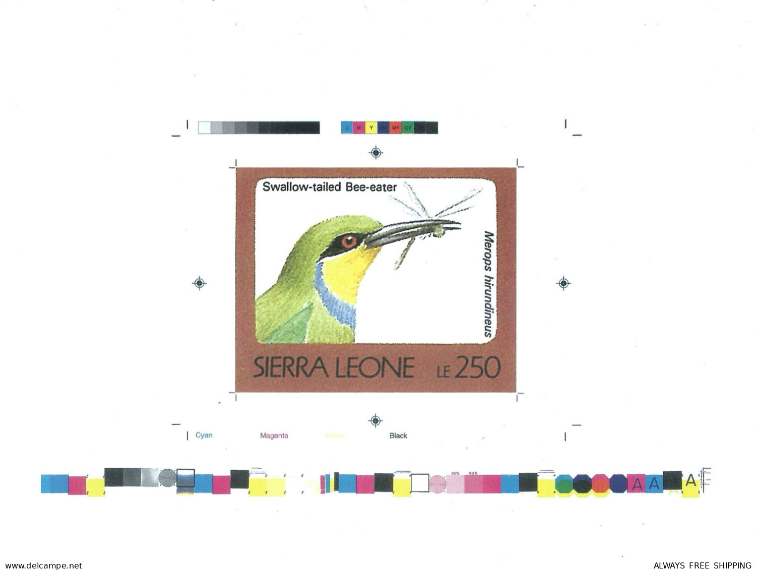 1992 Sierra Leone Animals Birds Raptors Swallow Tailed Bee Eater Merops Hirundineus - Rare Imperf Proof Essay Trial - Sonstige & Ohne Zuordnung
