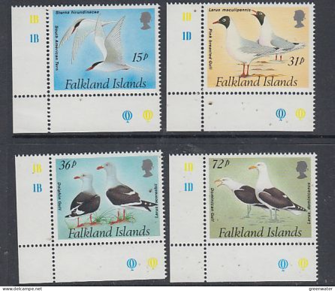 Falkland Islands 1993 Gulls And Terns 4v (corners) ** Mnh (59685A) - Falklandeilanden