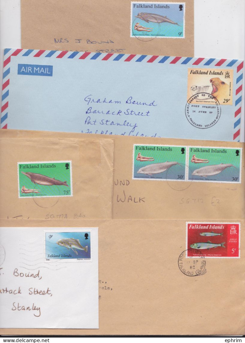 Falkland Islands Lettre Timbre Vie Marine Life Poisson Baleine Phoque Seal Whale Fish Stamp Mail Cover Lot Of 6 Covers - Falklandeilanden