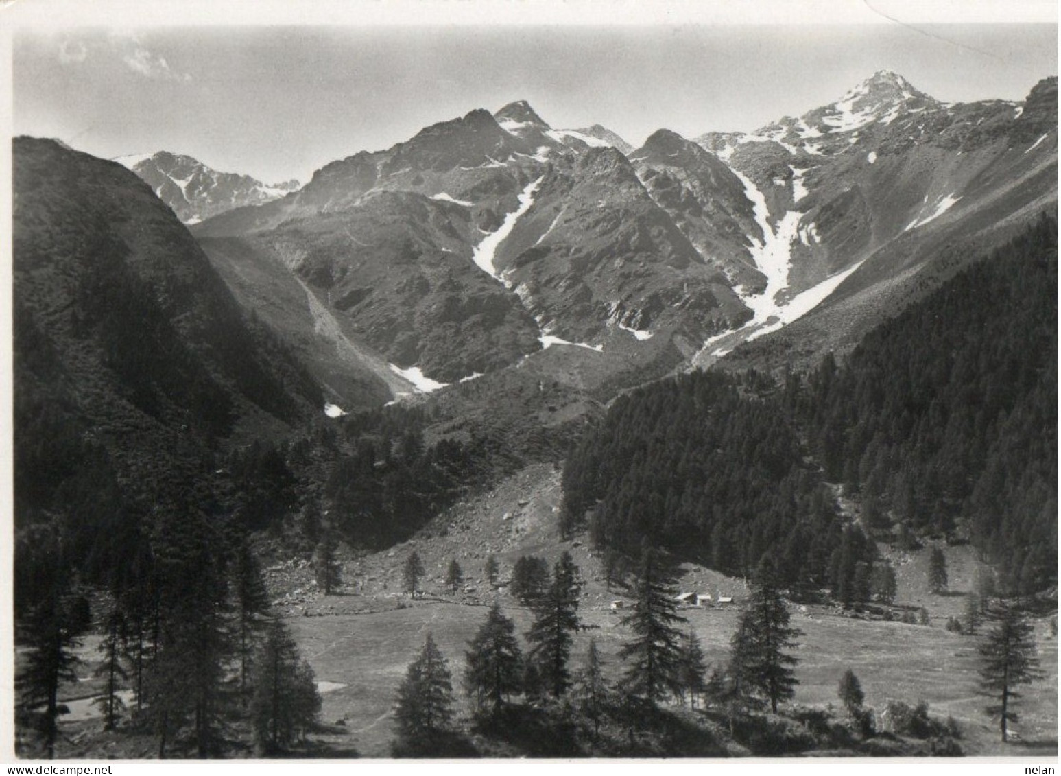 ACIDULE DI PEJO - DINTORNI CON PUNTA TAVIELA - F.G. - Trento