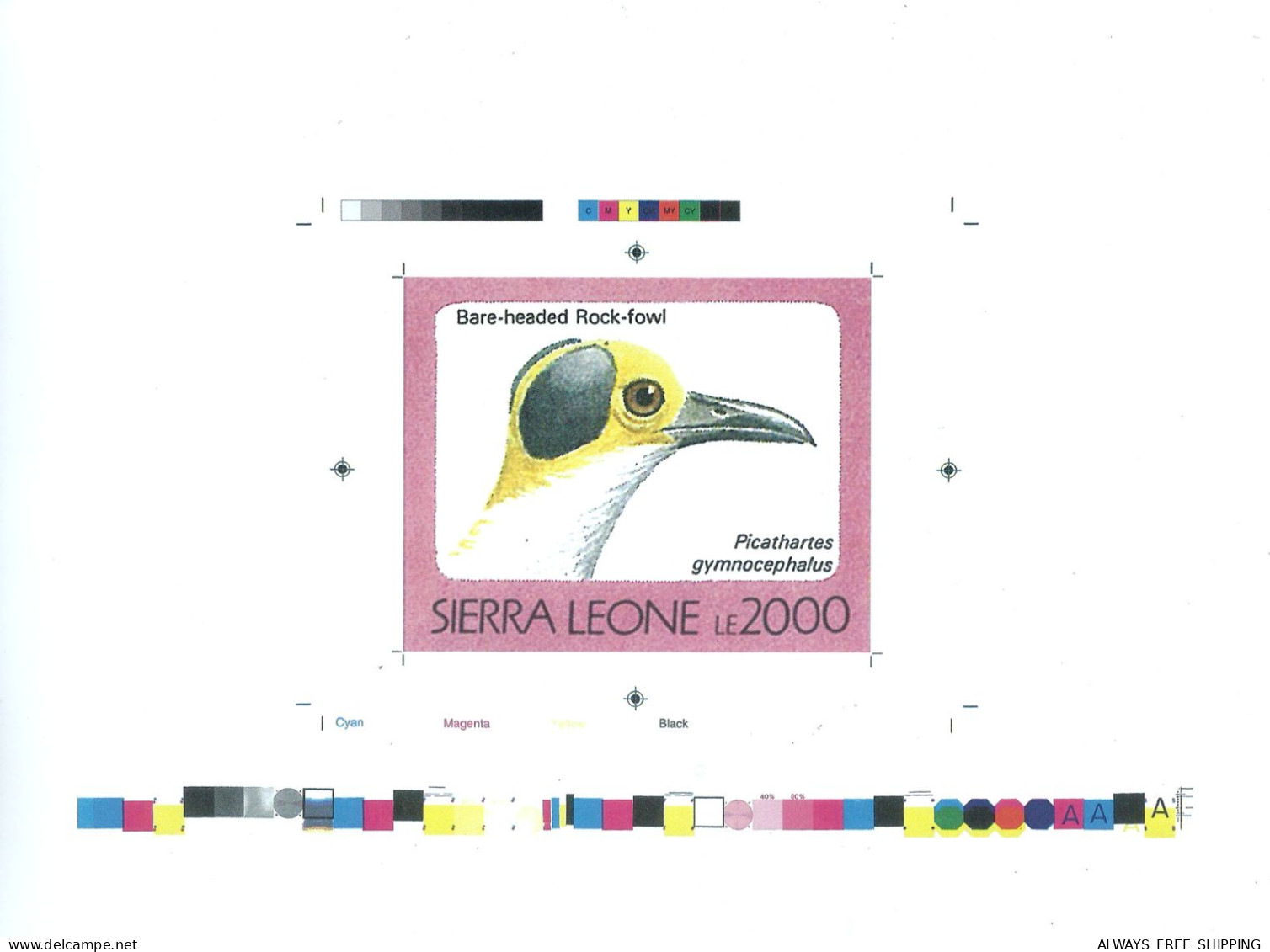 1992 Sierra Leone Animals Birds Raptors Bare Headed Rock Fowl Picathartes Gymnocephalus - Rare Imperf Proof Essay Trial - Otros & Sin Clasificación