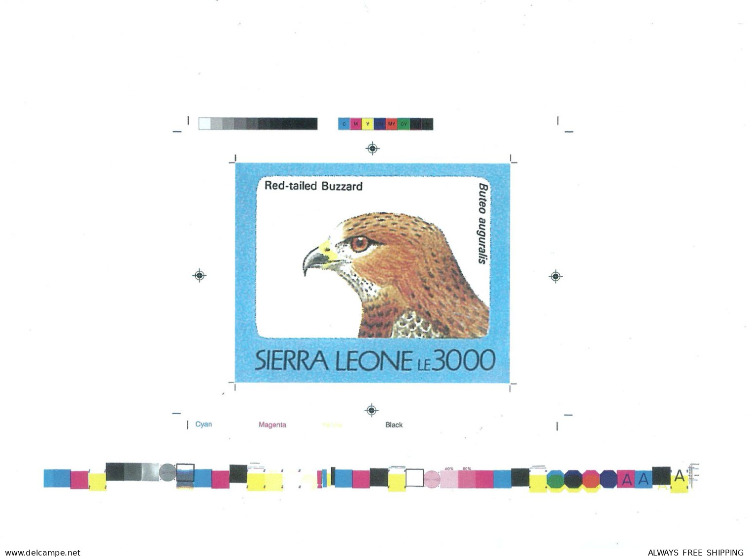 1992 Sierra Leone Animals Birds Raptors Eagle Redtail Buzzard Buteo Auguralis - Rare Imperf Proof Essay Trial - Aigles & Rapaces Diurnes