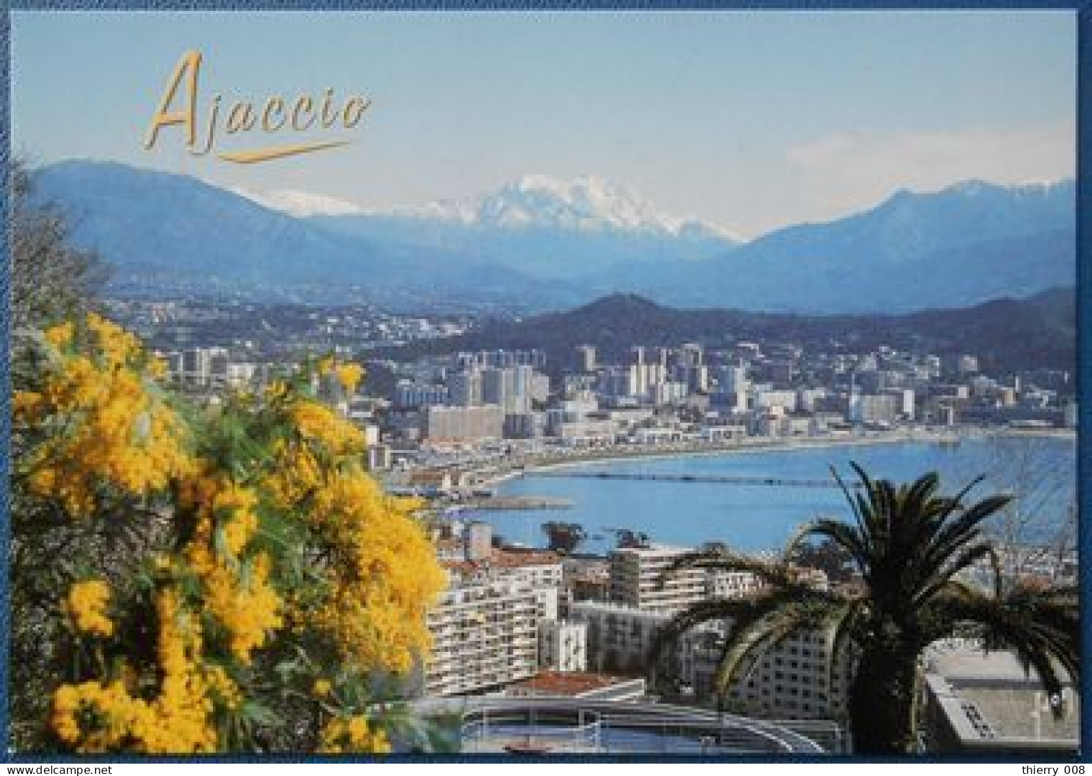 F14  Corse  Ajaccio Vue Sur La Ville Nouvelle - Corse