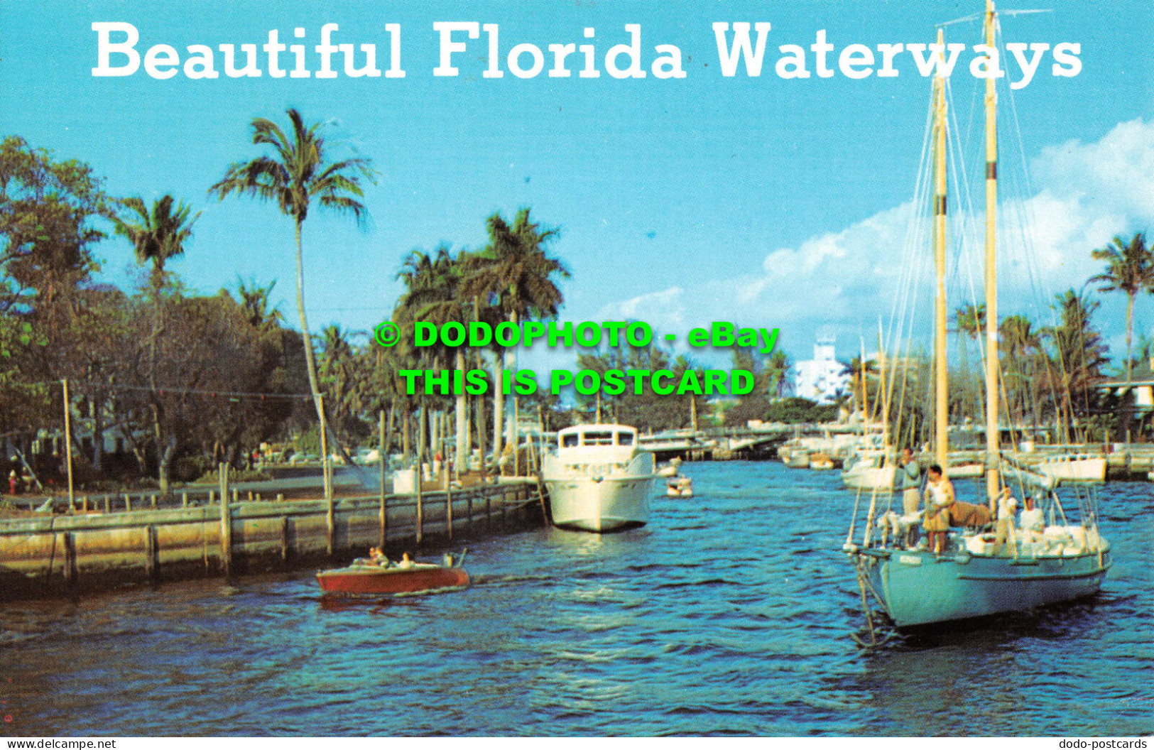 R536844 Beautiful Florida Waterways. Florida Natural Color. Koppel Color Cards - Monde