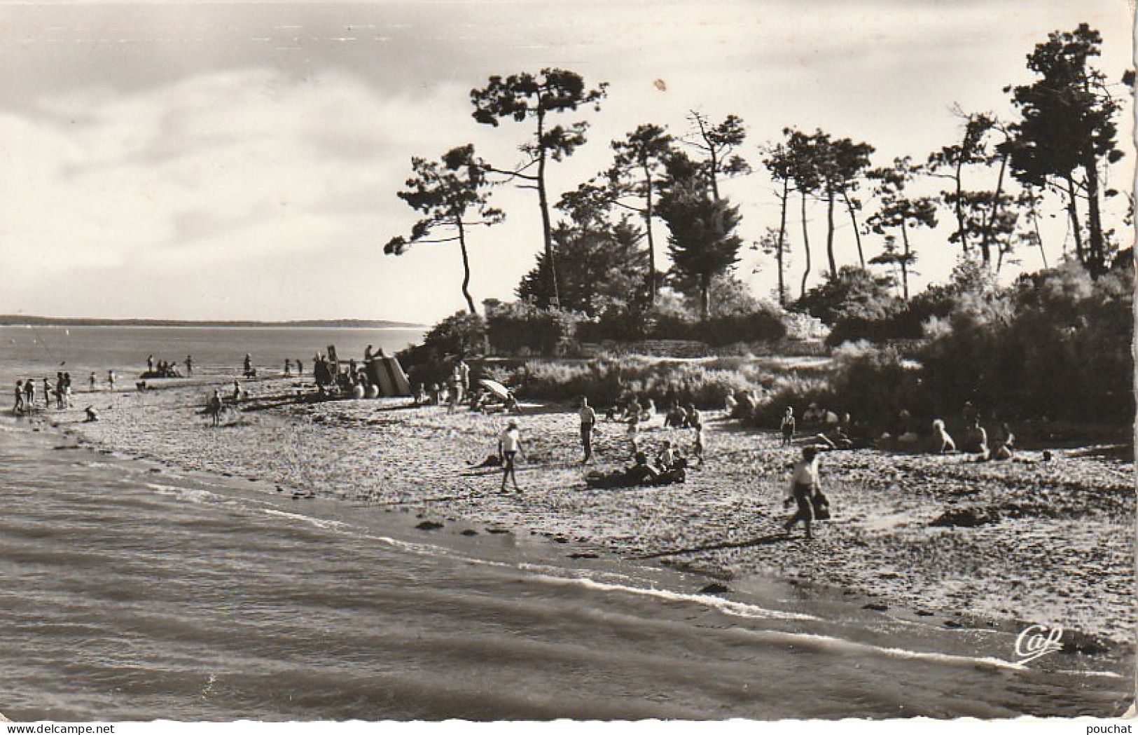 AL24 -(17) SAINT TROJAN  -  ILE D ' OLERON  - LA PLAGE DE LA POINTE DE L ' ILE  - ANIMATION  -   2 SCANS . - Ile D'Oléron