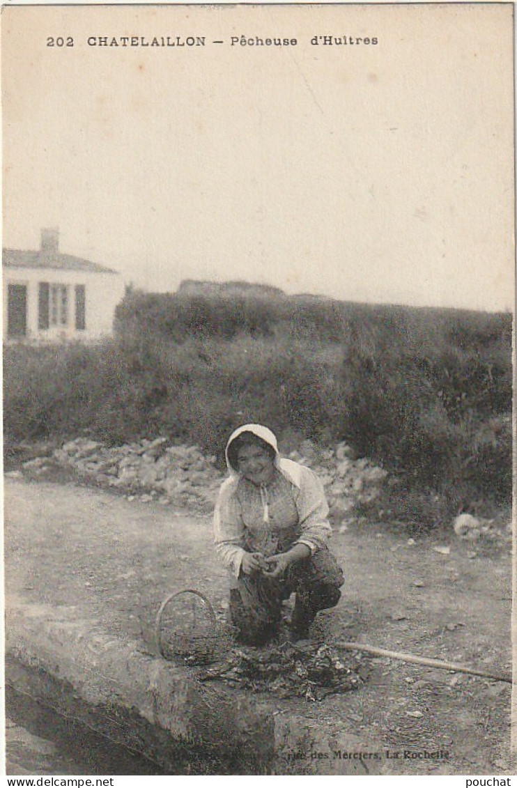 AL26 -(17) CHATELAILLON  - PECHEUSE D ' HUITRES  -  PANIER A HUITRES  -   2 SCANS - Pêche