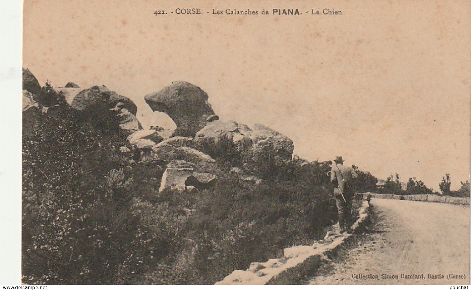 BE5  -(20) LES CALANCHES DE PIANA ( CORSE ) -  LE CHIEN  - COLLECTION SIMON DAMIANI , BASTIA-   2 SCANS - Andere & Zonder Classificatie