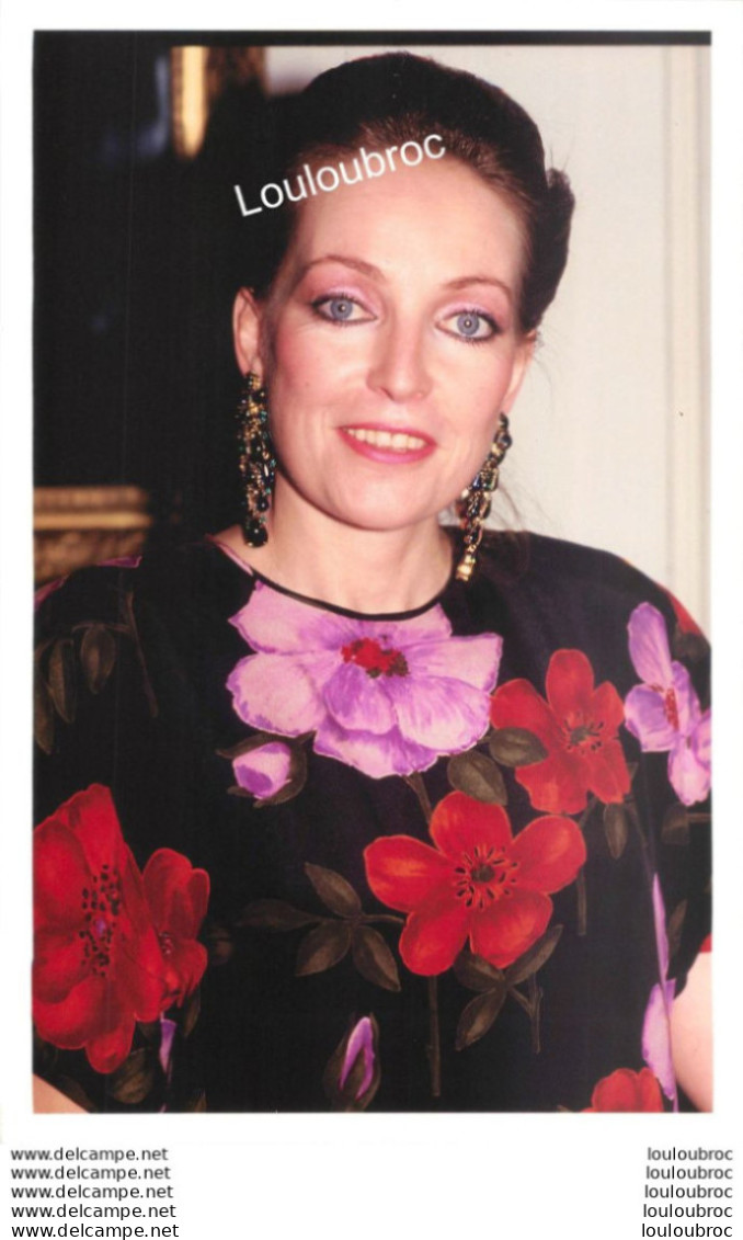 DIANE D'ORLEANS EPOUSE DU DUC DE WURTEMBERG 1993  PHOTO DE PRESSE AGENCE  ANGELI 27 X 18 CM R2 - Famous People