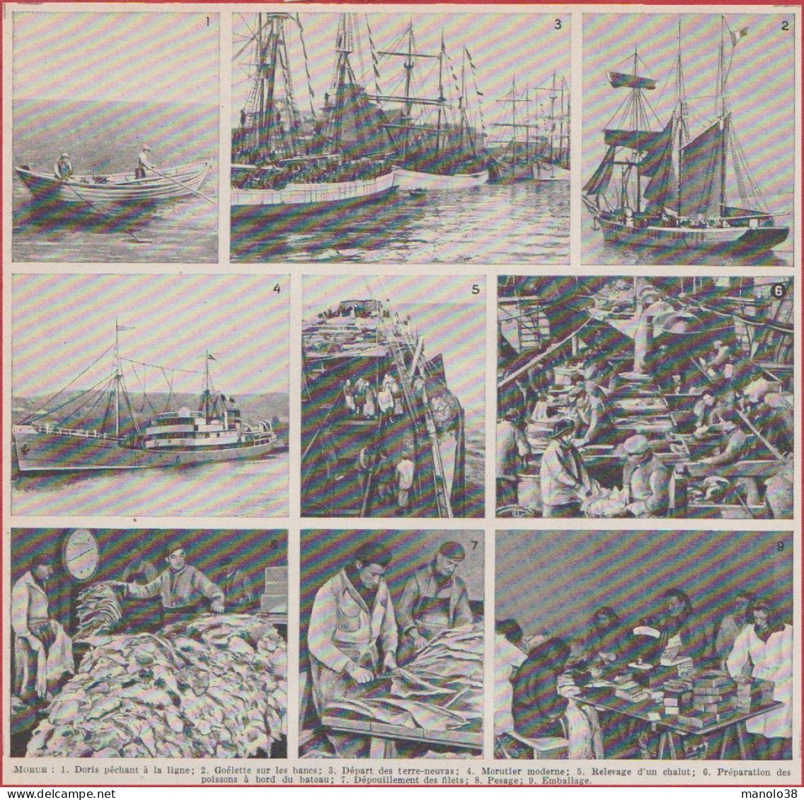 Pêche à La Morue. Départ Des Terre Novas, Morutier, Réparation Des Poissons Etc... Emballage. Larousse 1948. - Documenti Storici