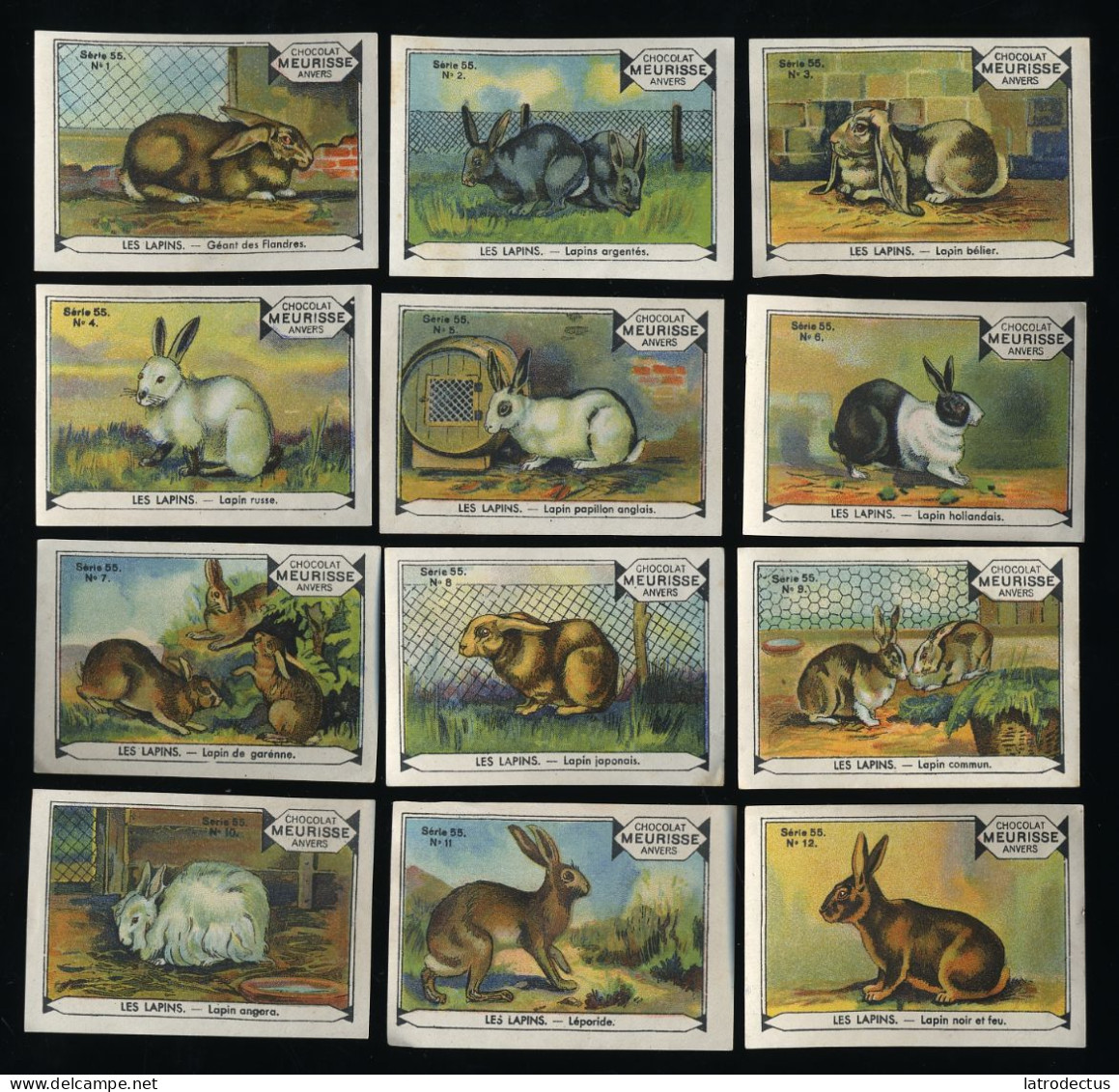 Meurisse - Ca 1930 - 55 - Les Lapins, Rabbits - Full Serie - Autres & Non Classés