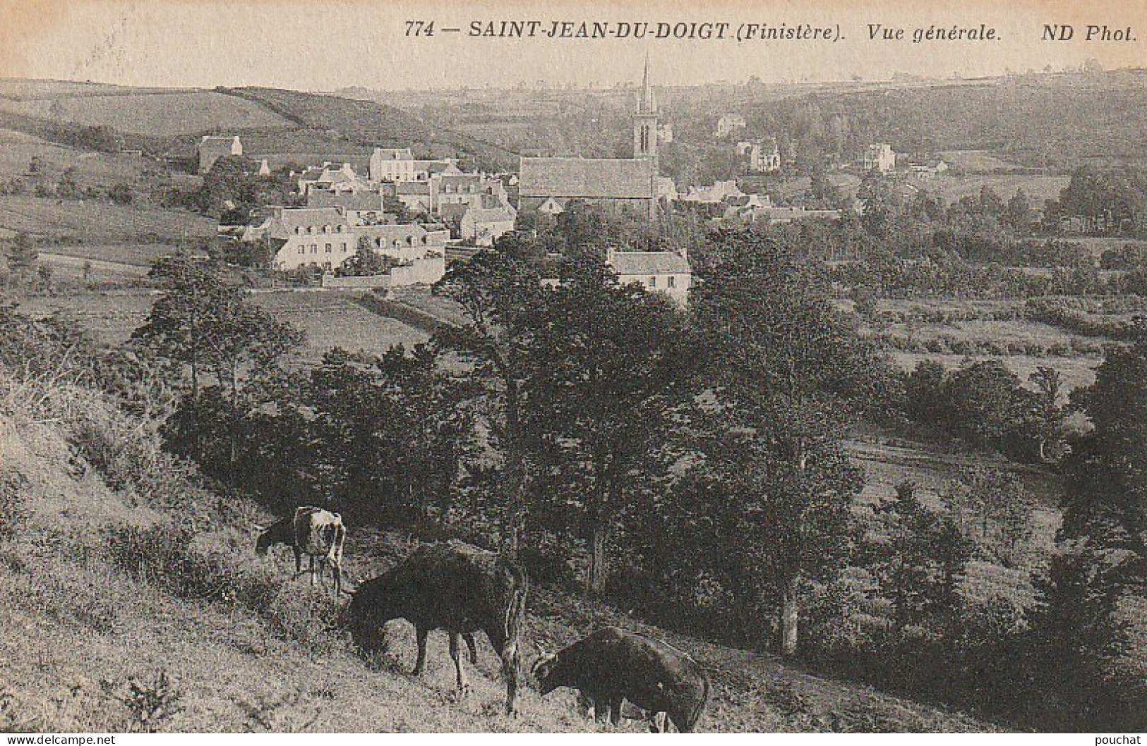 BE24 -(29) SAINT JEAN DU DOIGT - VUE GENERALE - BETAIL AUX PATURAGES  -   2 SCANS - Saint-Jean-du-Doigt