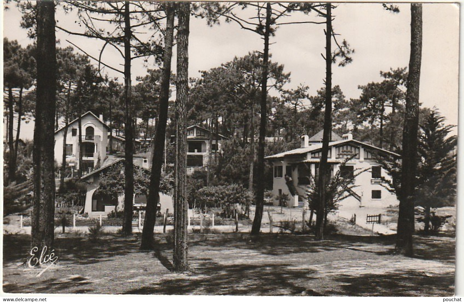 CE24 -(33) BASSIN D' ARCACHON  -  LES BELLES VILLAS DANS LES DUNES DU CANON - 2 SCANS - Arcachon