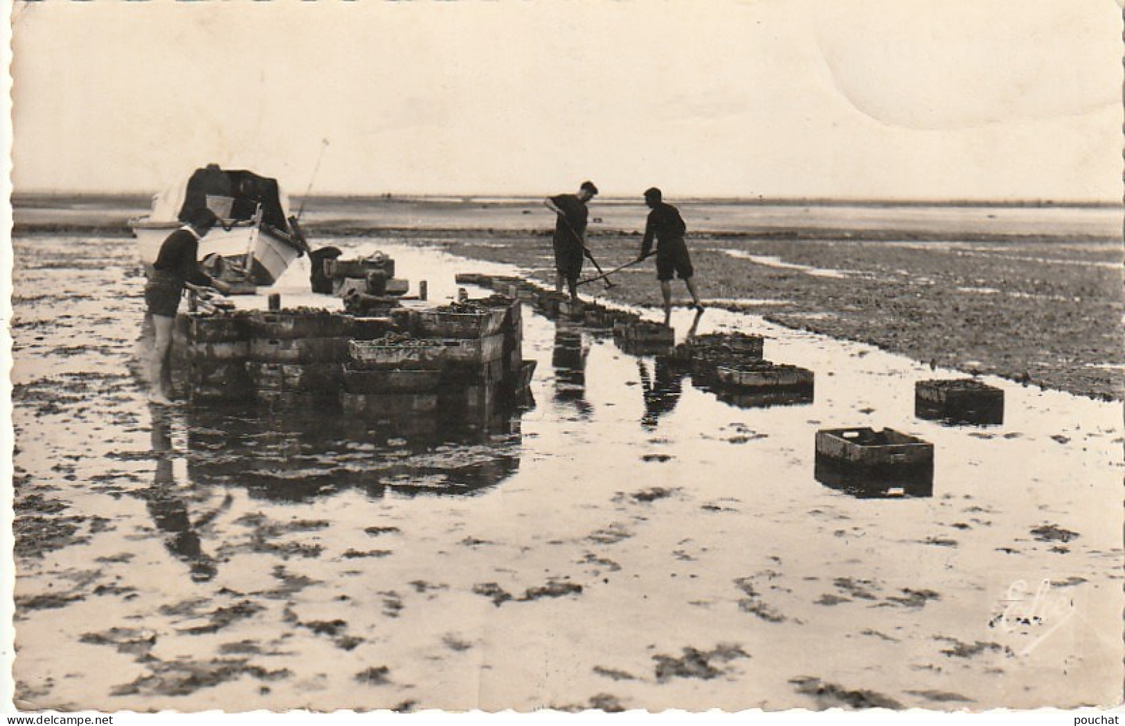 CE24 -(33) BASSIN D' ARCACHON -  TRAVAUX OSTREICOLES - LES PARCS A HUITRES DE L ' ILE AUX OISEAUX -  2 SCANS - Fischerei