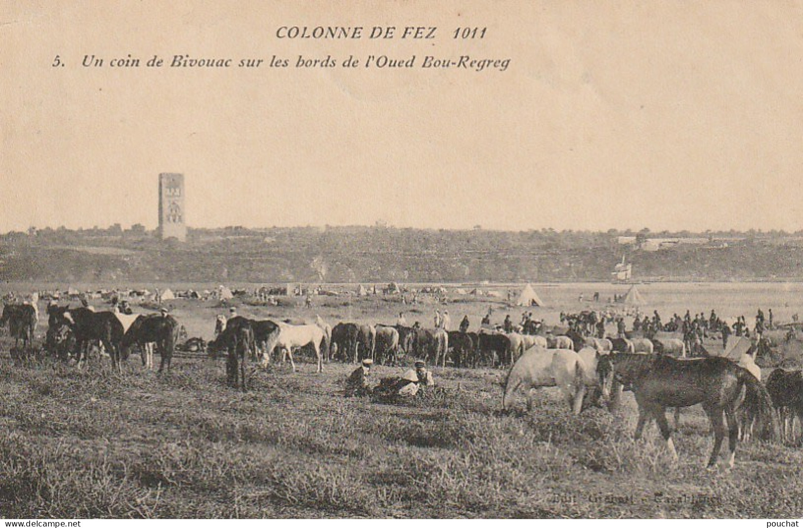 CE10  - MAROC - UN COIN DE BIVOUAC SUR LES BORDS DE L ' OUED BOU REGREG - CHEVAUX - 2 SCANS - Autres & Non Classés