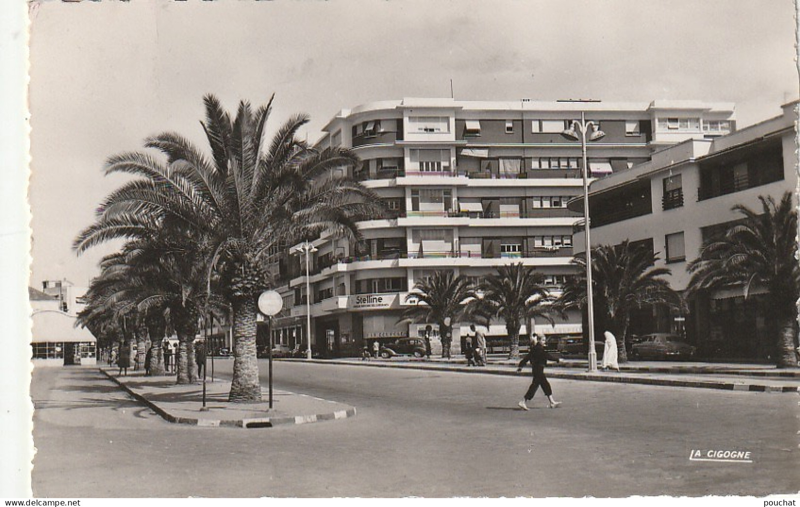 CE10 - MEKNES ( MAROC ) - AVENUE MEZERGUES  - 2 SCANS - Meknes