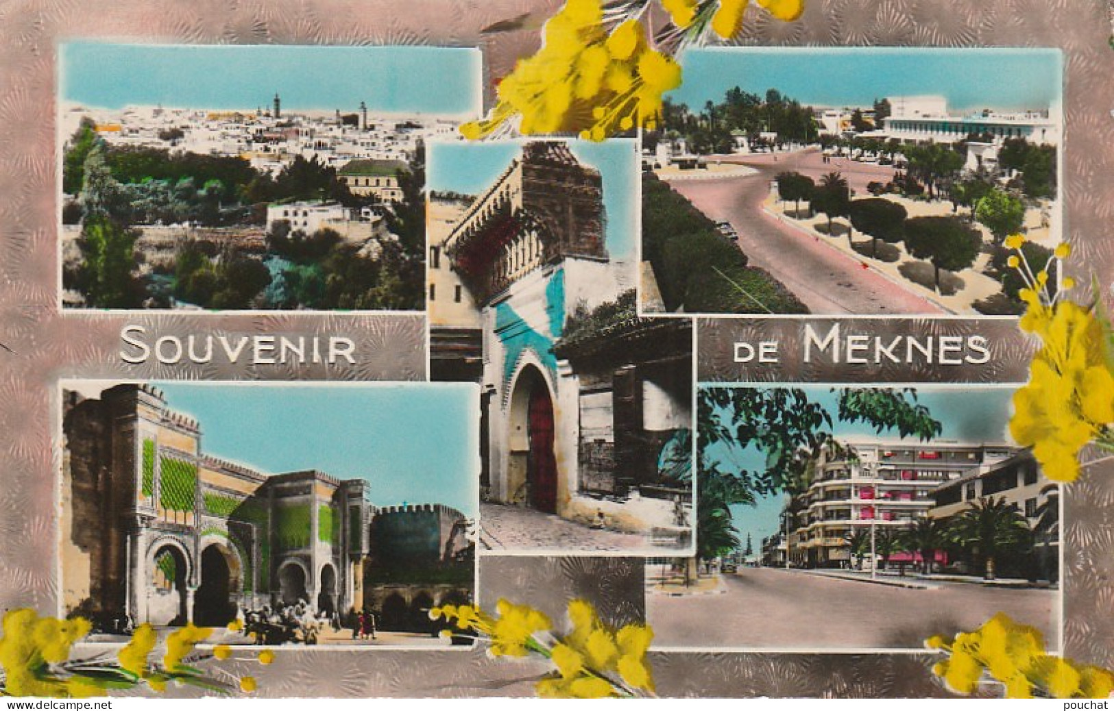 CE10 - SOUVENIR DE MEKNES ( MAROC ) - CARTE COULEURS MULTIVUES  - 2 SCANS - Meknès