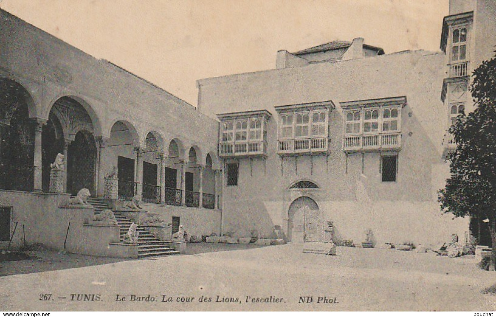 CE11  - TUNIS ( TUNISIE )  - LE BARDO  - LA COUR DES LIONS , L ' ESCALIER   -  2 SCANS - Tunisie