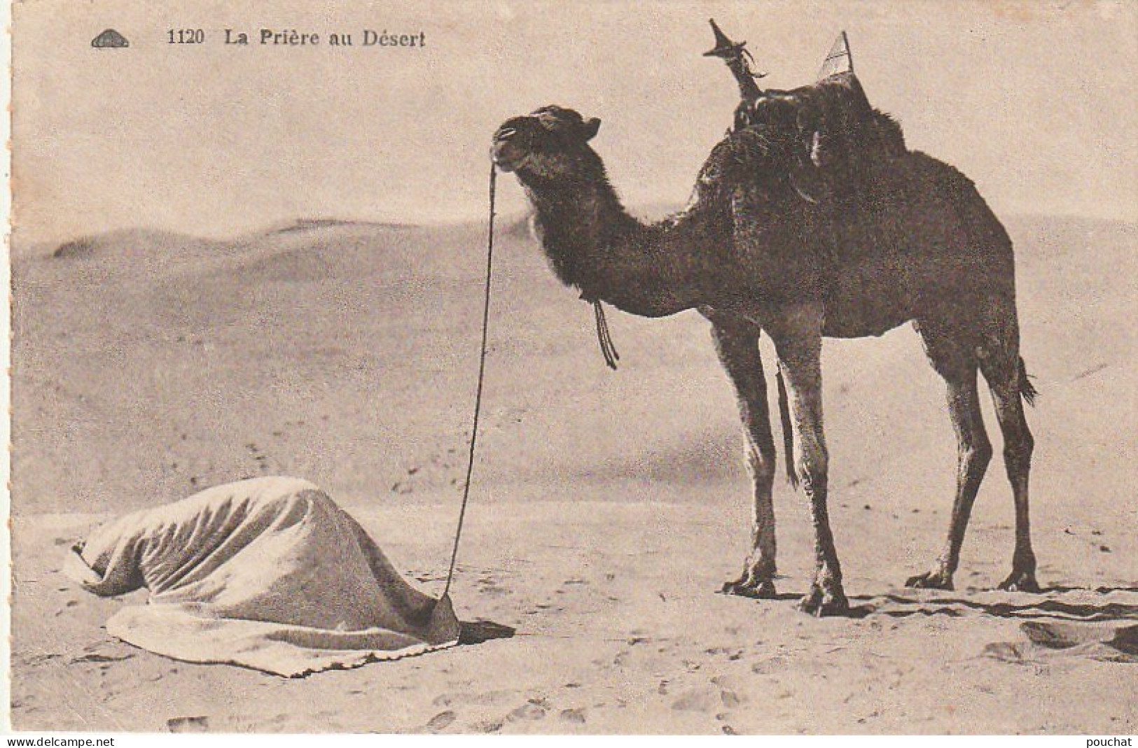 CE12  - LA PRIERE AU DESERT  -   2 SCANS - Africa