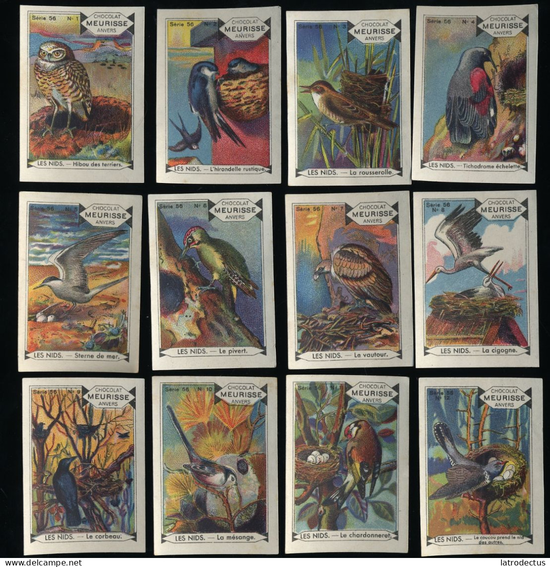 Meurisse - Ca 1930 - 56 - Oiseaux Et Leurs Nids, Birds And Their Nests - Full Serie - Andere & Zonder Classificatie